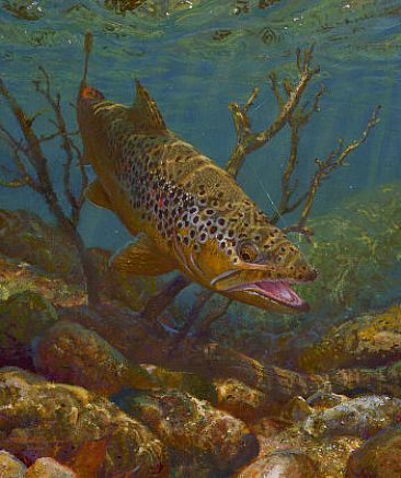 ATTEMPTING TO BREAK OFF - Brown Trout by Mark Susinno