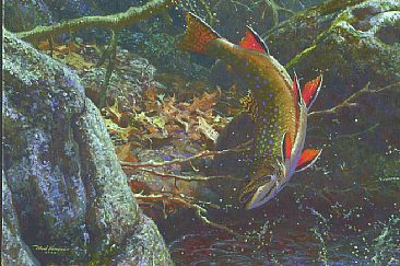 OFF THE HOOK - Brook Trout by Mark Susinno