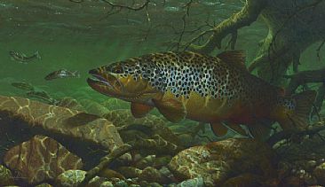 ON TARGET - Brown Trout by Mark Susinno