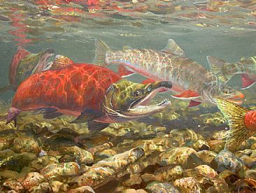 THE EGG POACHERS - Sockeye Salmon & Dolly Varden by Mark Susinno