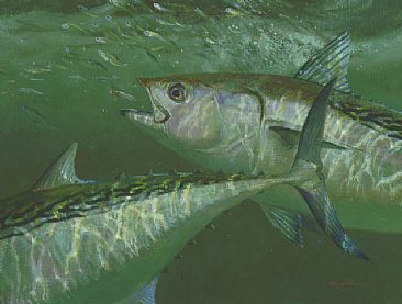 THE HARRIED - False Albacore & Bay Anchovies by Mark Susinno