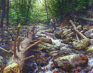 A TROUT STREAM TO ONESELF - Fly Fishing Scene by Mark Susinno