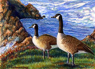 Aleutian Geese -  by Linda Parkinson