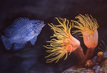 Blue Damselfish & Yellow Cup Coral -  by Linda Parkinson