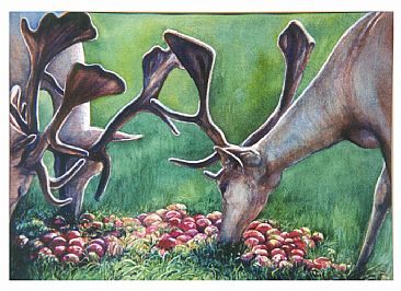 Harvest Time - Sitka Deer by Linda Parkinson