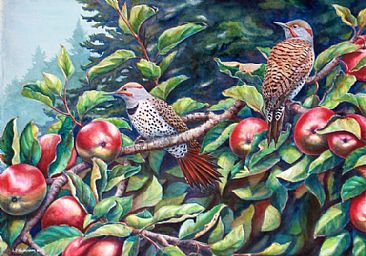 Fall Flickers (SOLD) - Red-Shafted Flickers, Apple tree by Linda Parkinson