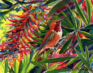 Brightly Hidden - Allen's Hummingbird, Bottlebrush by Linda Parkinson