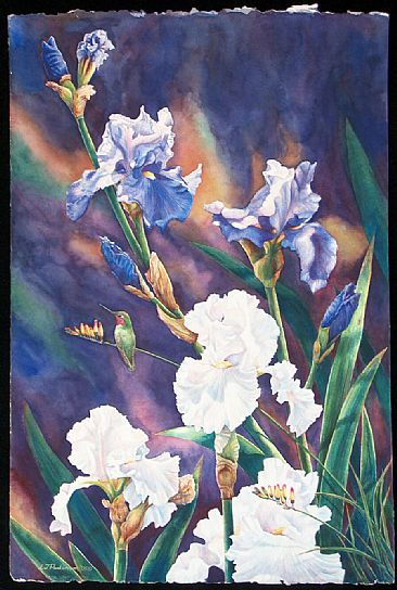 Spring Memories - Anna's hummingbird, Bearded Irises by Linda Parkinson