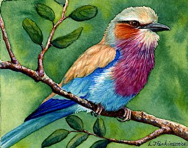 Lilac Breasted Roller -  by Linda Parkinson