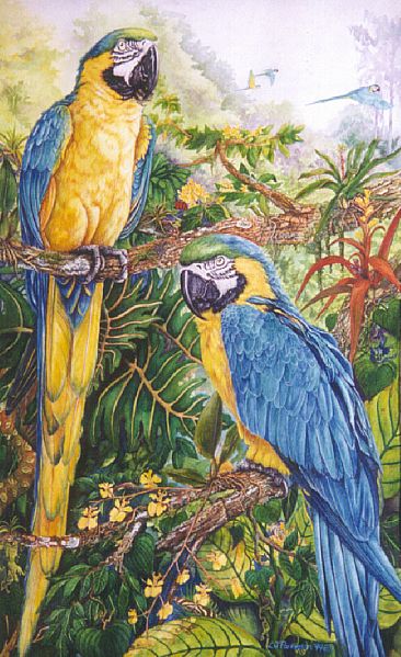 Rainforest Jewels  (Sold) - Blue & Gold Macaws by Linda Parkinson