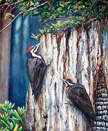 Learnin' the Stumps - Pileated Woodpeckers -Adult and Juvenile by Linda Parkinson