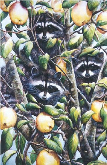 Trouble Times Three - Raccoons by Linda Parkinson