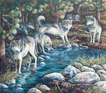 Paws and Reflect - North American Wolves by Linda Parkinson