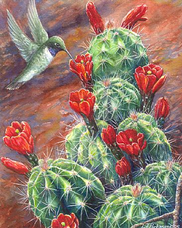 Desert Gems - Black-chinned Hummingbird & Hedgehog cactus by Linda Parkinson