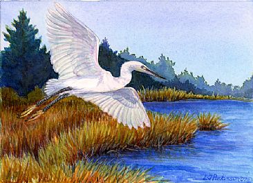 Snowy Egret -  by Linda Parkinson