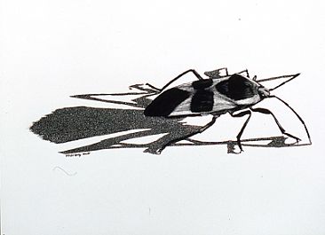 Milkweed Bug -  by Diane Versteeg