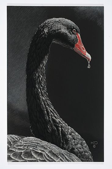 Grace - Black Swan by Kathleen  Dunn