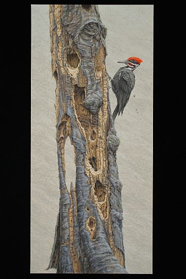 The Sculptor - Pileated Woodpecker by Kathleen  Dunn