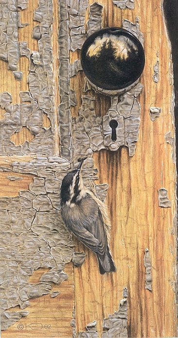 Trick or Treat - Red-Breasted Nuthatch by Kathleen  Dunn