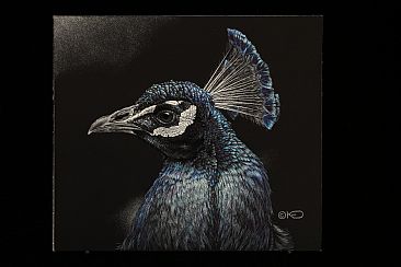 Royal Blue - Male Peacock by Kathleen  Dunn