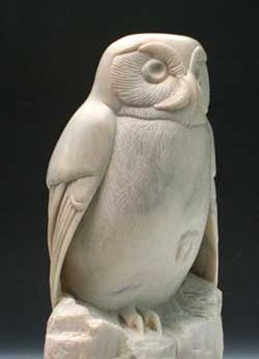 Stare Down - Owl by Clarence Cameron