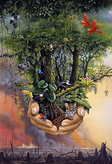 Rainforest Print - Rainforest Poster by Harro Maass