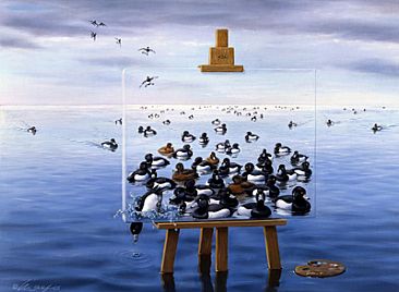 Tufted Ducks - Tufted Duck by Harro Maass