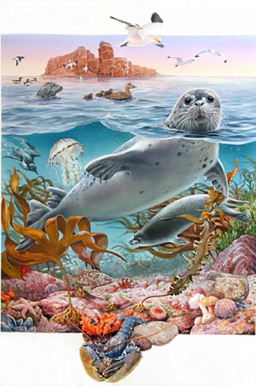 Animal of the year 2006 - Seal - Commission from The German Ministry of Environment by Harro Maass