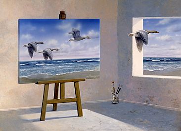 Greylag Goose -  by Harro Maass