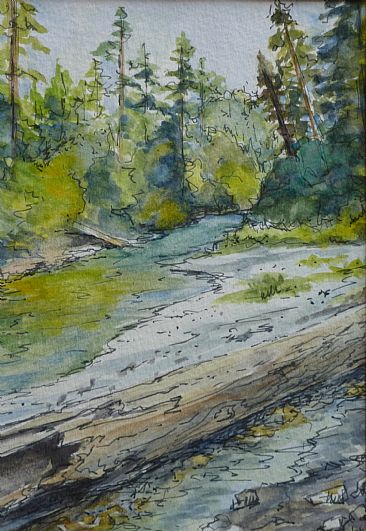 Creek with River and Redwoods -  by Paula Golightly