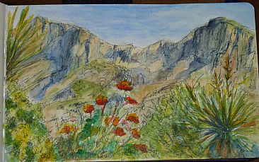 Santa Catalina Mountains- Tucson AZ - Landscape by Paula Golightly