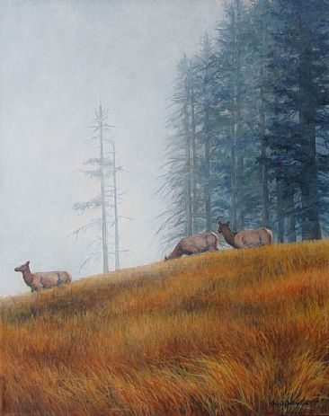 Fog in the Bald Hills - Elk in the prairie at bald hills by Paula Golightly