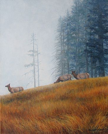 Fog in the Bald Hills -  by Paula Golightly
