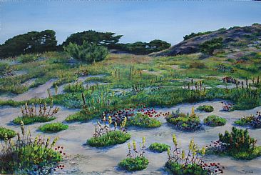Color of the Dunes - dunes by Paula Golightly