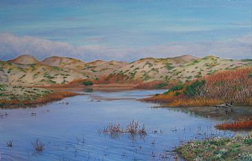 Dune Hollow - dune wetlands by Paula Golightly
