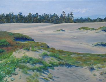Dune to Forest - dunes by Paula Golightly