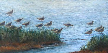 Godwits at the Marsh - marbled godwits by Paula Golightly