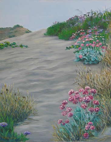 Summer Flowers - dune flowers by Paula Golightly