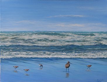 West of the Dunes - shorebirds by Paula Golightly