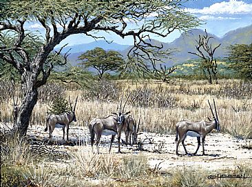 Oryx in Their Homeland - African Oryx by Kenneth Helgren