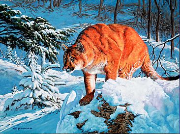 Silent Stalk - North American Mountain Lion by Kenneth Helgren
