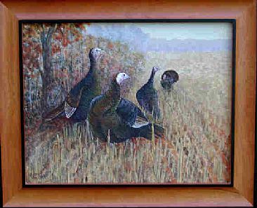 Undetected - Wild Turkeys by Betsy Popp