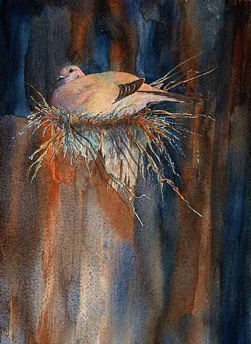 Mourning Nest - Mourning Dove by Betsy Popp
