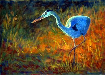 Morning Hunt - Great Blue Heron by Betsy Popp