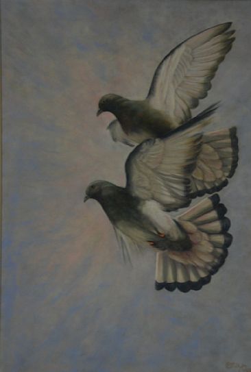 Alight Duet - pigeons by Betsy Popp