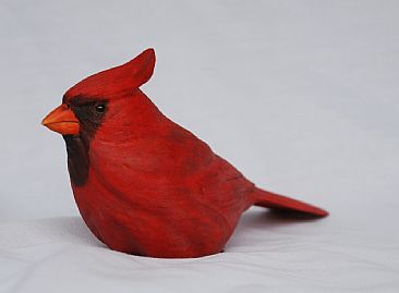 Royal Red -  Cardinal - Northern Cardinal by Betsy Popp