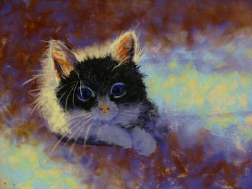 Purrfect Moment - domestic kitten by Betsy Popp