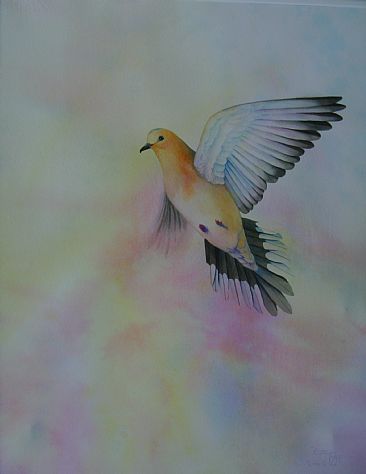 Lone Dove - Mourning Dove by Betsy Popp