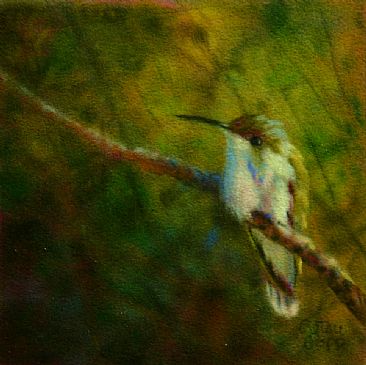Little Hummer - Ruby Throated Humming Bird by Betsy Popp