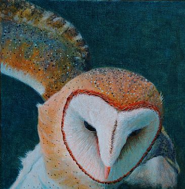 Silent Flight SOLD - Barn Owl by Betsy Popp
